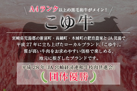 【年末年始限定】 お肉 定期便 6回  隔月 肉 E256