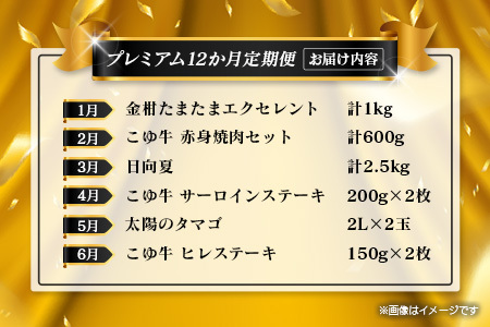 【年末年始限定】 フルーツ 黒毛和牛 定期便 12か月 果物 肉 G59