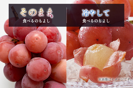 ぶどう クイーンニーナ 1kg+100g補償付 果物 フルーツ B684