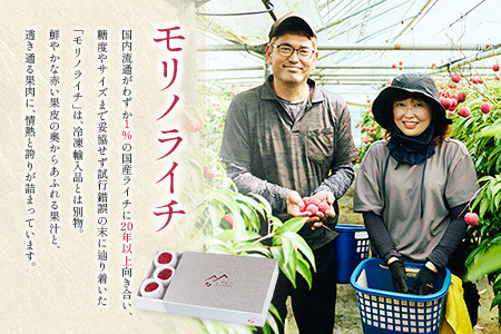 ライチ 4/20~4/28 期間内出荷 モリノライチ 果物 フルーツ S30