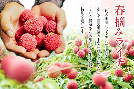 ライチ 4/20~4/28 期間内出荷 モリノライチ 果物 フルーツ S30