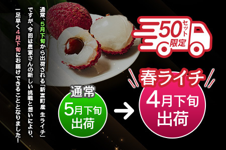 ライチ 4/20~4/28 期間内出荷 モリノライチ 果物 フルーツ S30