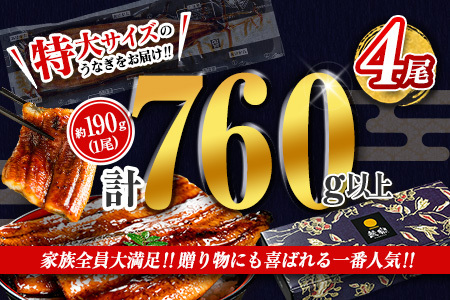 【2026年5月13日受付終了】【数量限定】特大 鰻 定期便 国産 鰻 4尾セット 全3回【E193-760-050709】