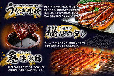 【2026年5月13日受付終了】【数量限定】特大 鰻 定期便 国産 鰻 4尾セット 全3回【E193-760-050709】