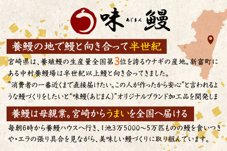 味鰻 鰻丼の素 3袋 備長炭火焼 職人手焼き 合計1.5尾使用 宮崎県産うなぎ【B539-2311】国産 鰻 うなぎ ウナギ ひつまぶし うな丼 お手軽 ふっくら 一人前サイズ ギフト グルメ プレゼント 贈り物 贈答品 祝い 誕生日 土用 丑の日 炭火焼 冷凍 送料無料 九州 宮崎