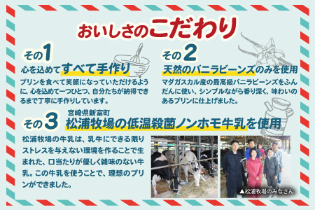 南国宮崎の新名物!南国プリン9個セット【C257】