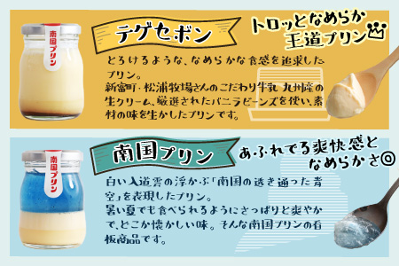 南国宮崎の新名物!南国プリン9個セット【C257】