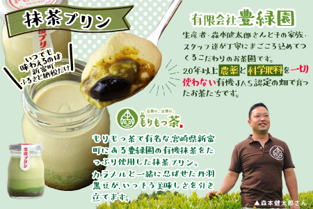 南国宮崎の新名物!南国プリン9個セット【C257】