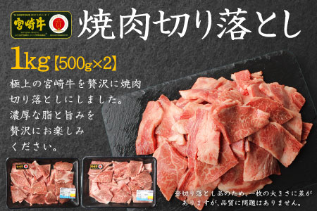 宮崎牛 焼肉 切り落とし 合計1kg（500g×2P）ウデ 牛肉 切り落し 切落し BBQ 国産 普段使い 九州産【C269-30】