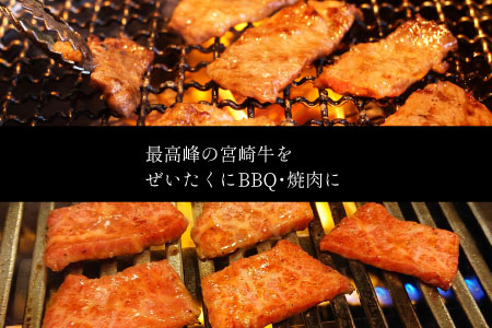 宮崎牛 焼肉 切り落とし 合計1kg（500g×2P）ウデ 牛肉 切り落し 切落し BBQ 国産 普段使い 九州産【C269-30】