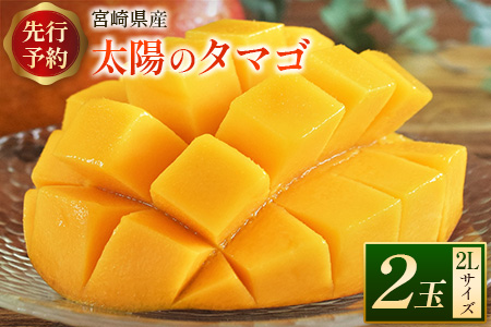 先行予約 「太陽のタマゴ」2Lサイズ 2玉 完熟マンゴー 宮崎県産【C218-24】