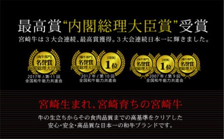 ＜宮崎牛＞ウデ霜降りスライス 500g ※90日以内出荷【C296】