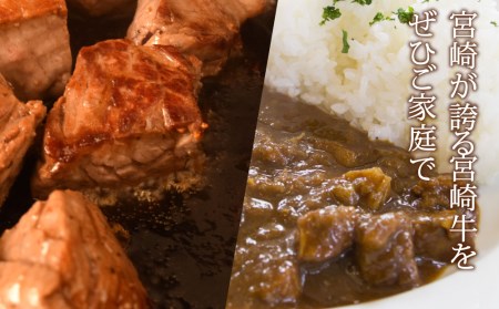 ＜宮崎牛＞2種類の部位を堪能！サイコロ肉 600g【B463-60】	