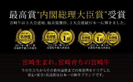 ＜宮崎牛＞赤身肉セット 合計1.4kg ※90日以内発送【E104】