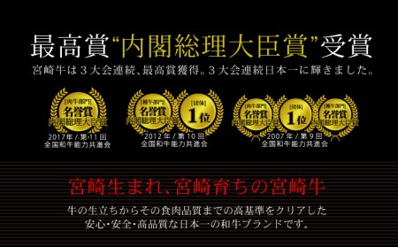 ＜宮崎牛＞希少部位 三角バラ焼肉600g ※90日以内発送【D83】