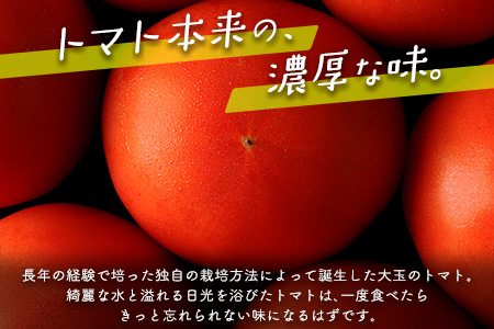 完熟！贅沢トマト 2kg 化粧箱 宮崎県新富町産【A303】