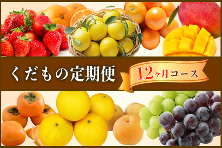 くだもの定期便 12ヵ月コース F75 宮崎県新富町 ふるさと納税サイト ふるなび