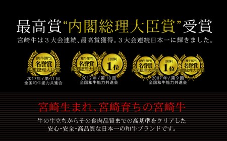 ＜宮崎牛＞豪華バラエティ6ヶ月コース 合計4.6kg◆第一回目は90日を目安に発送開始【F71】