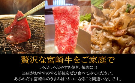 ＜宮崎牛＞しゃぶすき＆焼肉 6ヶ月コース◆第一回目は90日を目安に発送【F80】