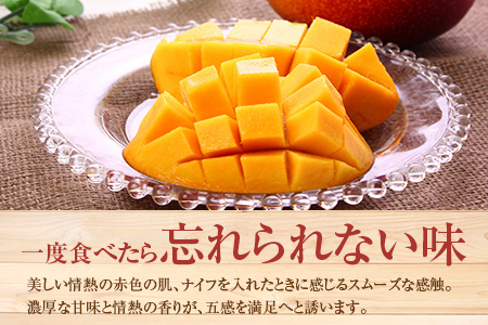 ＜先行予約＞ 完熟マンゴー 2Lサイズ 3玉 南国宮崎からお届け!! フルーツ 果物 人気 贈答品【C246-26】