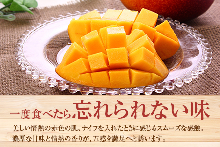 ＜先行予約＞ 完熟マンゴー 3Lサイズ 2玉 南国宮崎からお届け!! フルーツ 果物 人気 贈答品【C247-26】