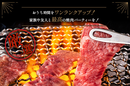 人気の宮崎県産黒毛和牛バラエティー焼肉セット 500g【B492】