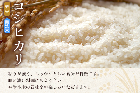 宮崎県産　新米　無洗米　コシヒカリ計10kg（5kg×2袋）【C276】