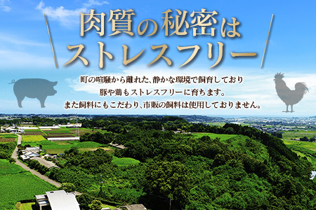 宮崎県産 鶏ムネ・豚ミンチ 6kgセット【C326】