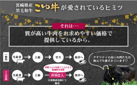 ［50セット限定］JAこゆ牛バラエティ 3ヵ月定期便（A4等級以上）※2025年1月配送開始【E142-01】