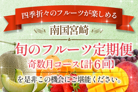 南国宮崎 旬のフルーツ定期便 奇数月コース【計6回】【E143】