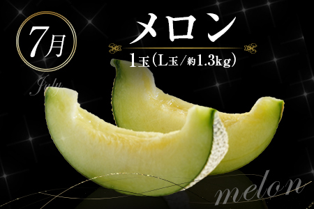 南国宮崎 旬のフルーツ定期便 奇数月コース【計6回】【E143】