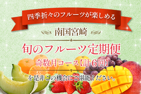南国宮崎 旬のフルーツ定期便 奇数月コース【計6回】【E143】