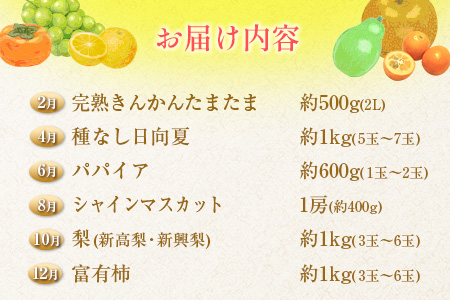 南国宮崎 旬のフルーツ定期便 偶数月コース【計6回】【E144】