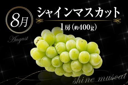 南国宮崎 旬のフルーツ定期便 偶数月コース【計6回】【E144-24】