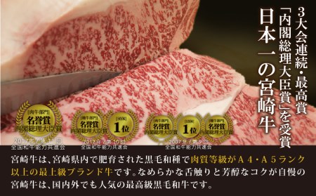 宮崎牛 特選 食べ比べ焼肉6種盛り 合計600g(各100g)【D96】