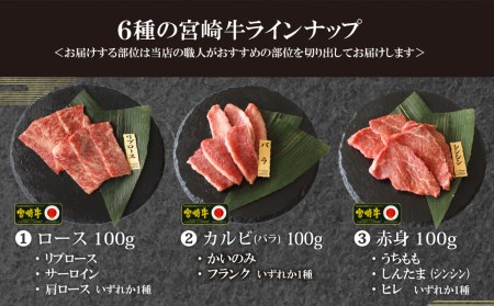 宮崎牛 特選 食べ比べ焼肉6種盛り 合計600g(各100g)【D96】