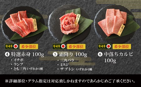 宮崎牛 特選 食べ比べ焼肉6種盛り 合計600g(各100g)【D96】