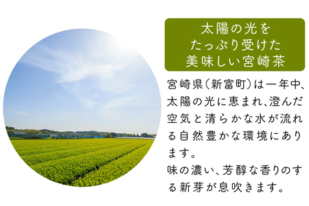 宮崎日本茶専門店 ミニ茶箱「空飛ぶお茶」高品質煎茶ティーバッグ 3g×15p【A187】