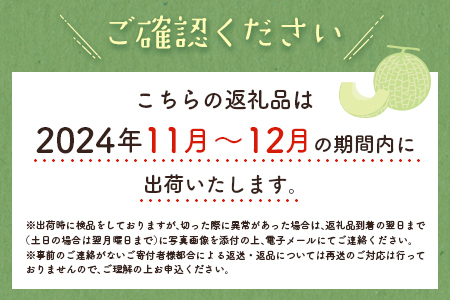 ＜数量限定＞しんとみアールスメロン 2L2玉 計3kg以上 先行予約 国産 フルーツ 果物 宮崎県産 ※2024年11月～12月の期間内に出荷【B520-01】