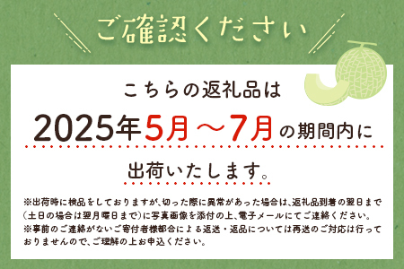 ＜数量限定＞しんとみアールスメロン 2L2玉 計3kg以上 先行予約 国産 フルーツ 果物 宮崎県産 ※2025年5月～7月の期間内に出荷【B520-02】