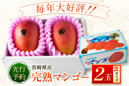 宮崎県産 完熟マンゴー2Lサイズ2玉【B510】