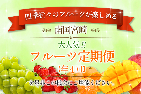 南国宮崎 大人気フルーツ定期便（年4回） 【E150】
