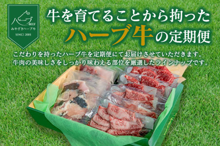 「新年から3か月お届け」2025年開始 厳選 みやざきハーブ牛 3か月定期便 牛肉 焼肉 国産【E149-25】