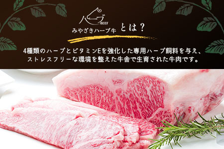 「新年から3か月お届け」2025年開始 厳選 みやざきハーブ牛 3か月定期便 牛肉 焼肉 国産【E149-25】