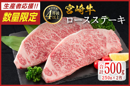 ＜数量限定!!＞宮崎牛 ロースステーキ 計500g（250g×2枚）肉質等級4等級 国産 人気 おすすめ【C346-S】