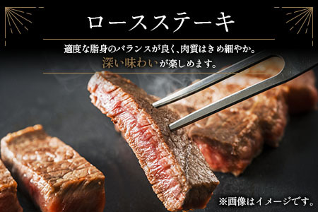 ＜数量限定!!＞宮崎牛 ロースステーキ 計500g（250g×2枚）肉質等級4等級 国産 人気 おすすめ【C346-S】