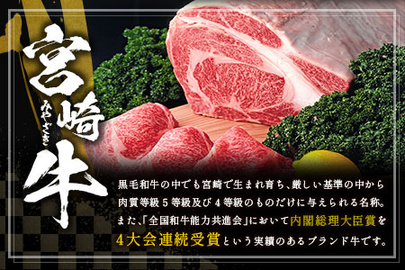 ＜数量限定!!＞宮崎牛 ロースステーキ 計500g（250g×2枚）肉質等級4等級 国産 人気 おすすめ【C346-S】