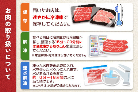 ＜数量限定!!＞宮崎牛 ウデスライス 500g 肉質等級4等級 国産 人気 おすすめ【B531-S】