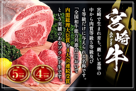 ≪肉質等級4等級≫宮崎牛 モモスライス 500g ※90日以内に発送【B532-24】