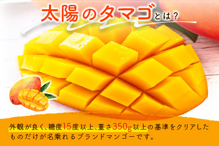 数量限定 宮崎県産 完熟マンゴー<太陽のタマゴ>3L×2玉 計900g以上 ※2026年4月下旬配送開始 化粧箱入 フルーツ くだもの【E168-26】